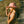 Ihi Honey Surf Hat x Aida Salehi